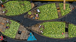 Watermelons at Wiseghat