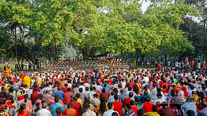 New Year celebration under a banyan tree