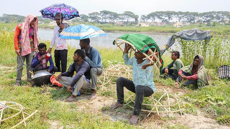 Farm labourers take a recess during Boro paddy harvesting. Photo: Asif Mahmud Ove