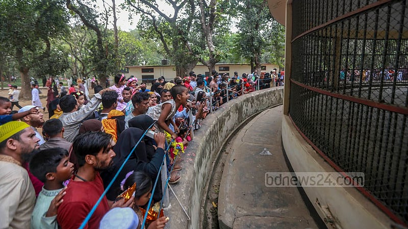 Visitors crowd outside the tiger’s cage in Mirpur zoo. Photo: Tawhiduzzaman Tapu