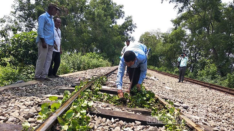 Apr 29: A worker puts hyacinths on a railway track as part of efforts to keep the tracks from bending amid extreme heat in Brahmanbaria. 