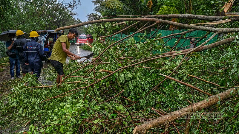 Cyclone Mocha uprooted trees in Shah Porir Dwip island in Cox’s Bazar’s Teknaf on Sunday, May 14, 2023.