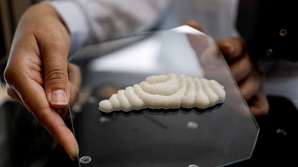 Dished up by 3D printers, a new kind of fish to fry