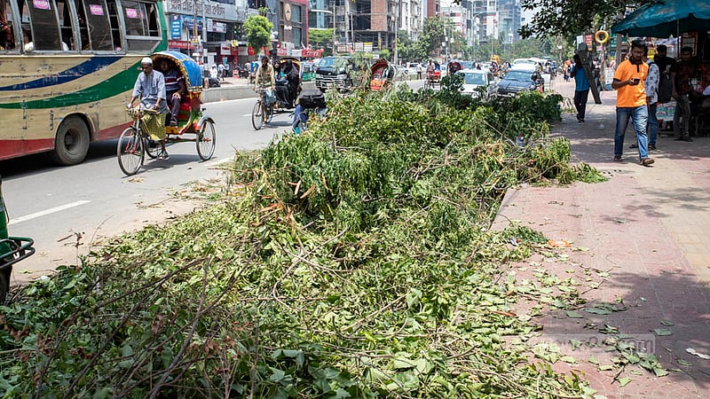 Branches of felled trees lie on the footpath of Saat Masjid Road in Dhaka. Photo: Asif Mahmud Ove
