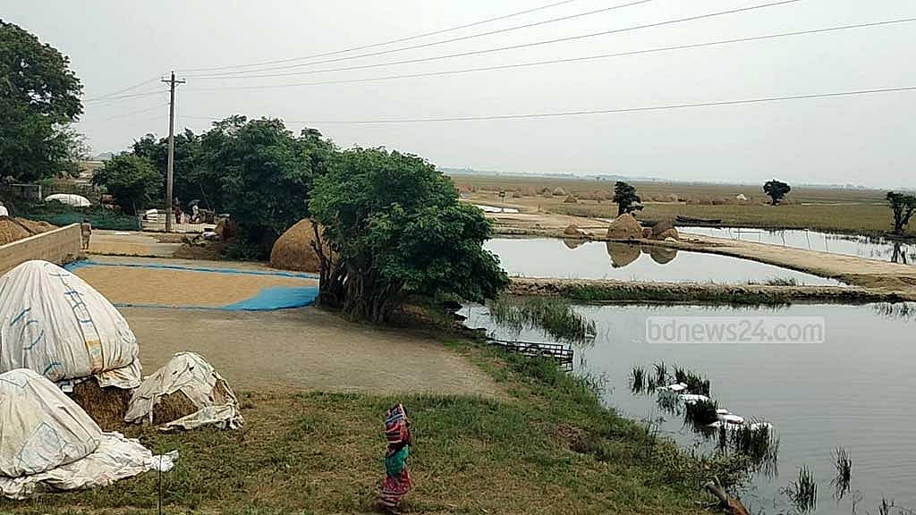 Monsoon delay endangers livelihoods in Bangladesh’s back swamp ecosystem