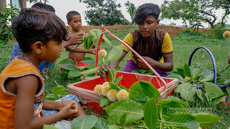 Children in Dhaka's Suhrawardy Udyan gather Kadam flowers in a basket to sell to visitors. Photo: Mahmud Zaman Ovi