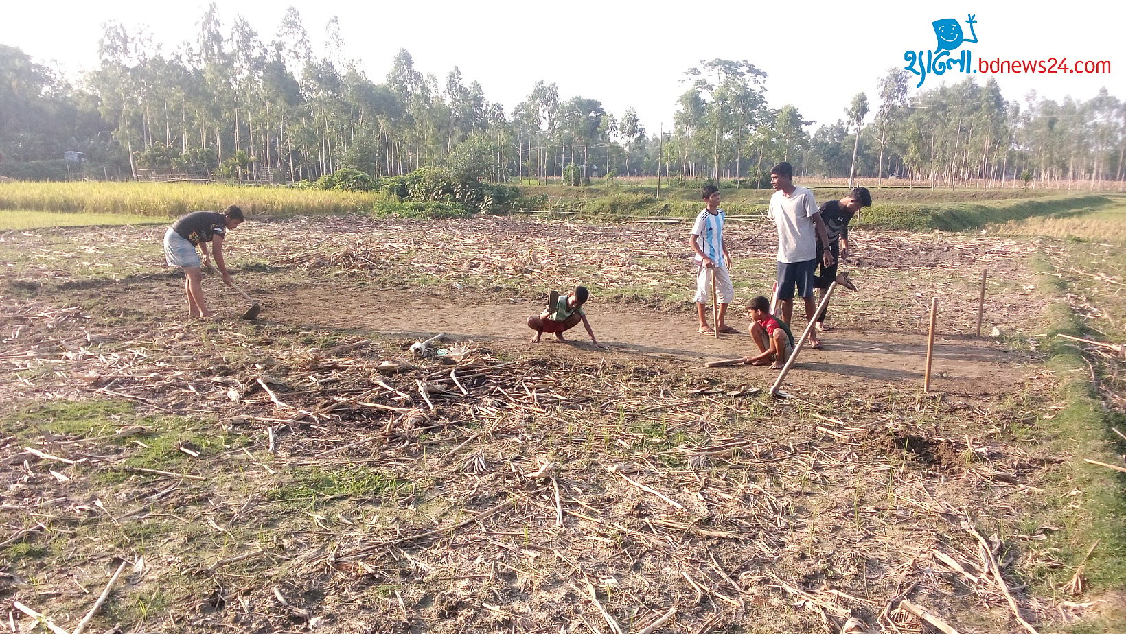 The Making of a Cricket Pitch