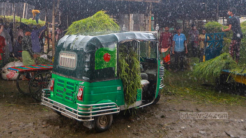 Autorickshaws carry grasses to Rayerbazar from Keraniganj’s Ati Bazaar. Photo: Tawhiduzzaman Tapu