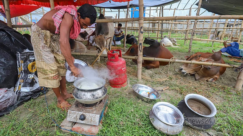 A cattle trader cooks meals with others at the make-shift cattle market in Bhatara on Tuesday, Jun 20, 2023. Photo: Asif Mahmud Ove