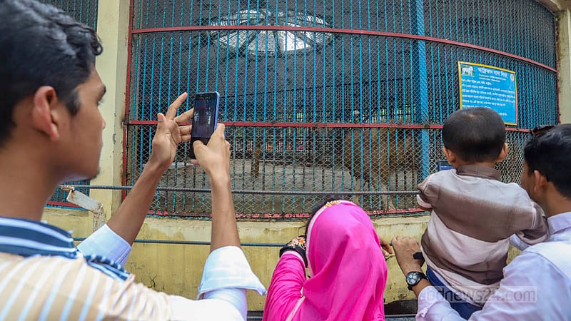 Many visitors took photos at the Mirpur National Zoo on Friday, Jun 30, 2023, the day after Eid-ul-Azha. Photo: Asif Mahmud Ove