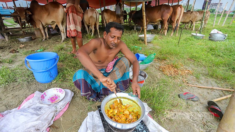 A trader, who brought in cows from Kushtia at Bhatara's cattle market, cooks a meal for himself on Tuesday, Jun 20, 2022. Photo: Asif Mahmud Ove
