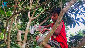 Water Feeder for the Birds