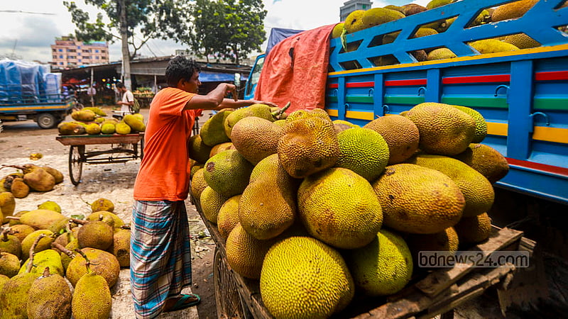 Vans are used to transport jackfruits from Rayerbazar wholesale market to other parts of Dhaka. Photo: Tawhiduzzaman Tapu