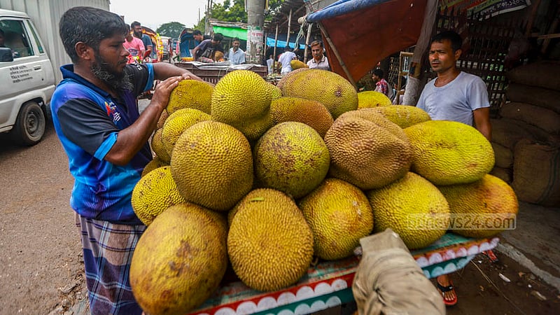 Trader Mohammad Abdullah taking jackfruits to Kolabagan from Rayerbazar wholesale market in Dhaka. Photo: Tawhiduzzaman Tapu