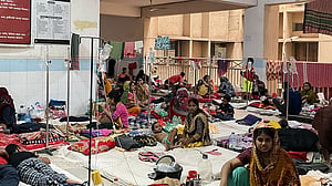 2,168 new dengue cases, 8 deaths