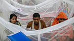 This year’s dengue death toll hits 400