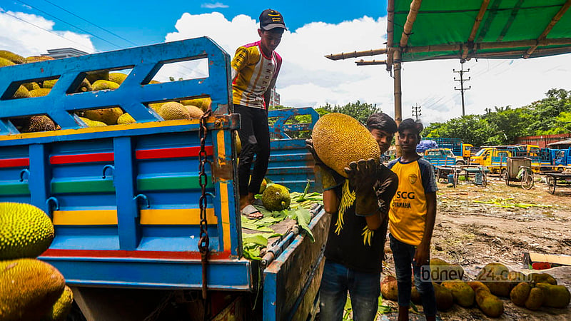 Workers unload jackfruits from a truck at Rayerbazar wholesale market in Dhaka. Photo: Tawhiduzzaman Tapu