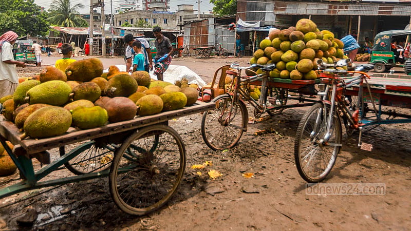 Vans are used to transport jackfruits from Rayerbazar wholesale market to other parts of Dhaka. Photo: Tawhiduzzaman Tapu