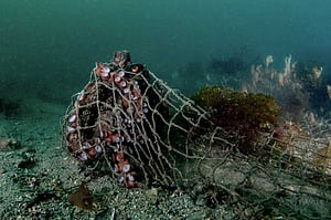 Winners of the 2023 Earth.Org Photography Competition