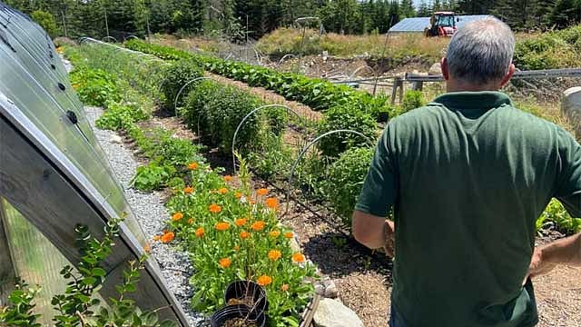Climate haven no more? Floods and fires hit farmers in east Canada