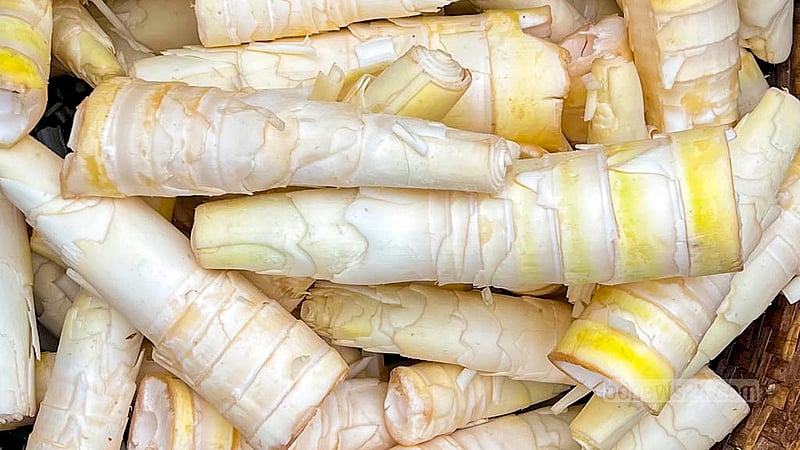 Bamboo shoots are prepared for cooking before they are older than two weeks. Photo: Samir Mallik