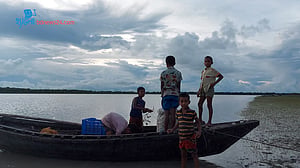 Why do children of Patuakhali pick Keora fruit?