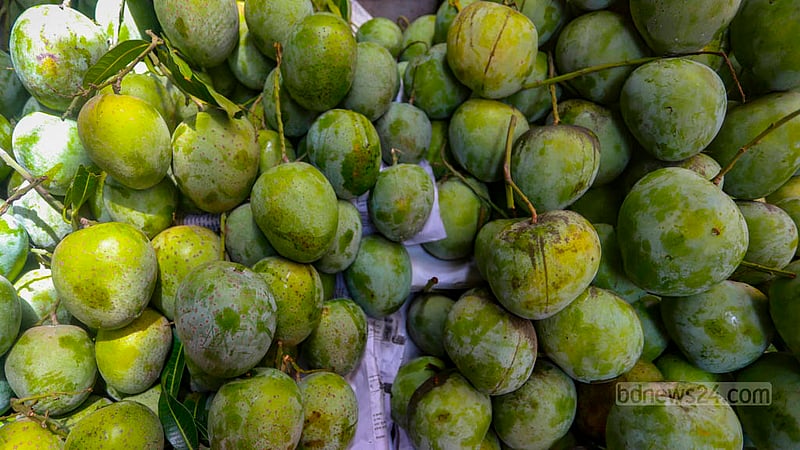 BARI-4 mangos are available at Tk 240-260 a kg in Dhaka – several times higher than the usual price as the season for the fruit has ended.  Photo: Tawhiduzzaman Tapu