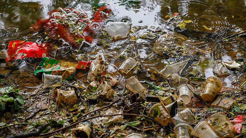 The food shops serving cups of coffee or tea are thrown into the lake by consumers further polluting the water. Photo: Mahmud Zaman Ovi