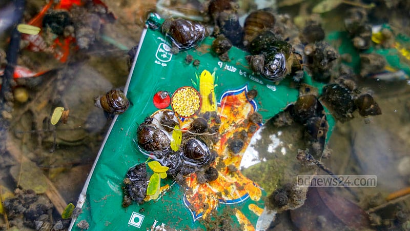 People walking around the Dhanmondi Lake notices different types of plastic waste floating in the water with snails attached to them. Photo: Mahmud Zaman Ovi