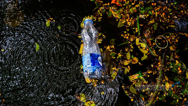 People visiting the Dhanmondi Lake littering plastic bottles everywhere. Photo: Mahmud Zaman Ovi