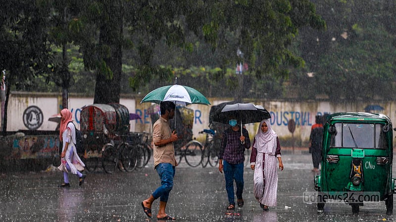 Pedestrians use umbrellas for cover during rain in the TSC area of Dhaka University on Thursday, Aug 24, 2023.   Photo: Tawhiduzzaman Tapu