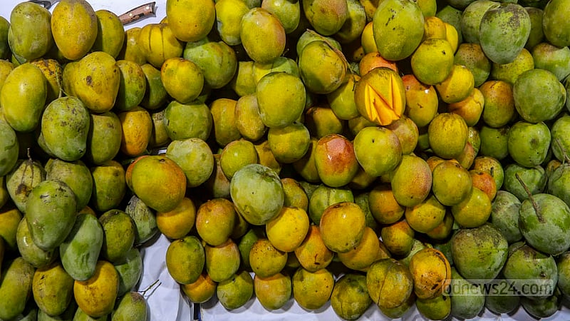 Gouramati mangoes are available at a shop in Dhaka’s Paltan even after the end of the season.  Photo: Tawhiduzzaman Tapu