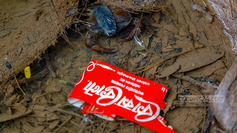 The rains over the past few days have raised the water level of the Dhanmondi Lake and the water bottle thrown into the water can be seen clearly now. A crab is curiously moving towards it. Photo: Mahmud Zaman Ovi