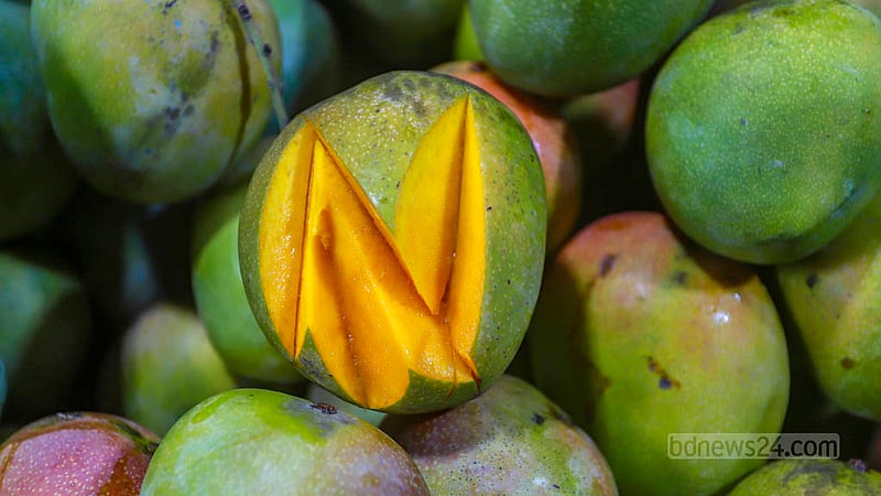 Gouramati mangoes are available at a shop in Dhaka’s Paltan even after the end of the season.  Photo: Tawhiduzzaman Tapu