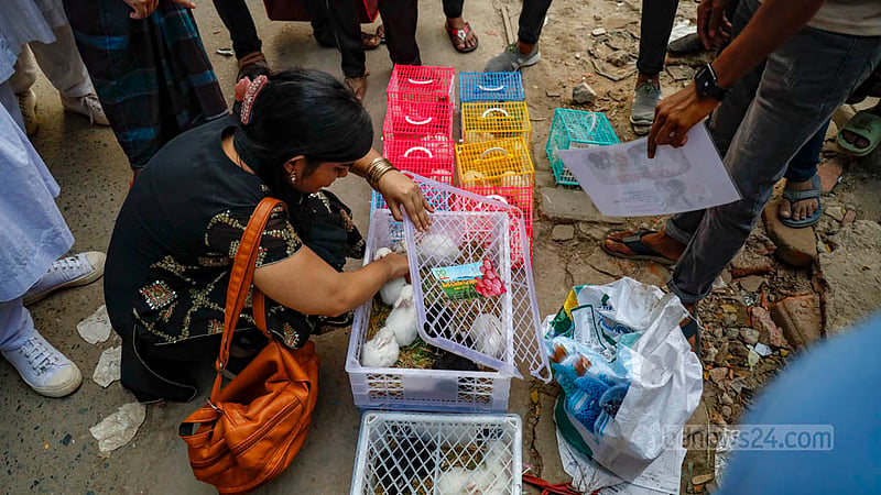 A woman takes out a young rabbit from its plastic cage to take a closer look on a road near Farmgate. Photo: Mahmud Zaman Ovi