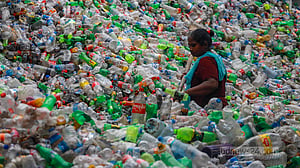 Plastic bottle recycling in Dhaka