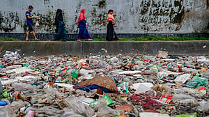 Who will stop canal pollution in Dhaka?