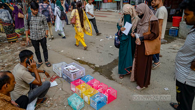 Traders bring in young rabbits, called kits, from farms in Mymensingh and sell them near Tejgaon College at Dhaka’s Farmgate. Photo: Mahmud Zaman Ovi