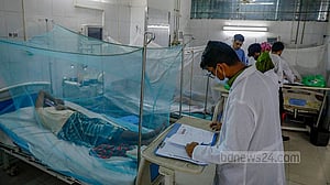 2 die of dengue, 955 hospitalised