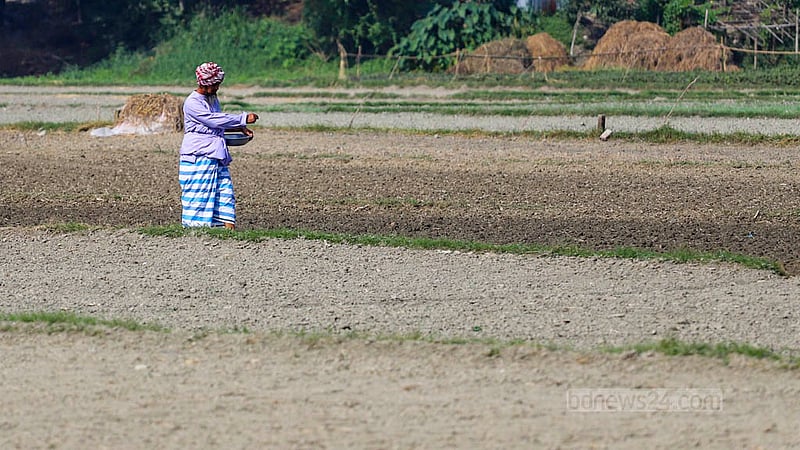 A farmer sows seeds of winter vegetables in Keraniganj’s Hazratpur. Photo: Tawhiduzzaman Tapu