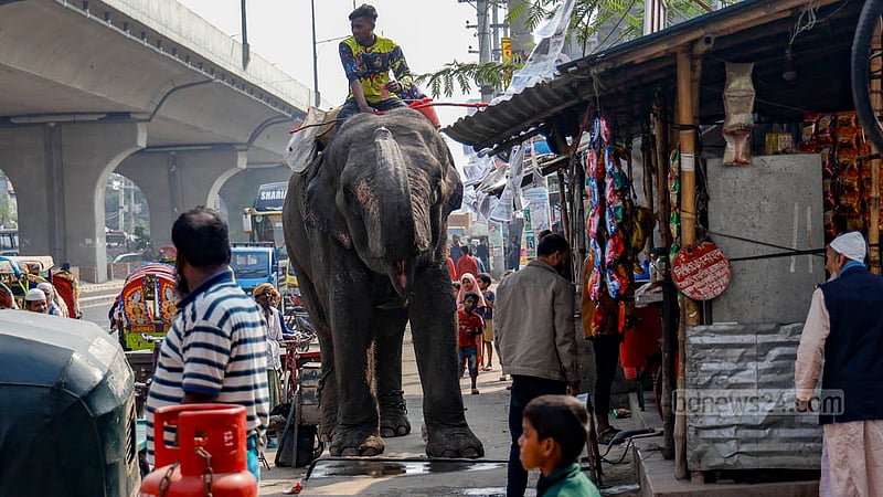 The practice of using elephants to solicit alms is viewed by some as 'extortion', while others label it as begging.
