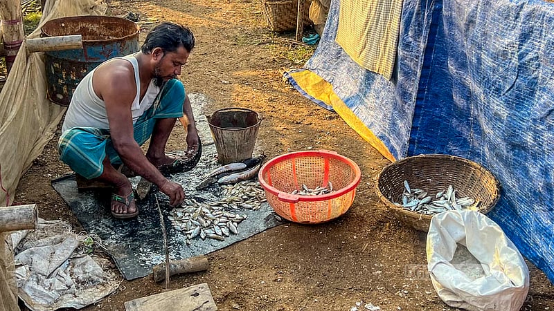 A worker cuts taki and puti fish for drying in the Kattuli Marsh Bazar area of Rangamati’s Kaptai Lake.