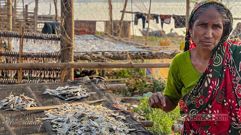 Female workers get Tk 6,500 per month for drying fish in the Kattuli Marsh Bazar area of Rangamati’s Kaptai Lake.