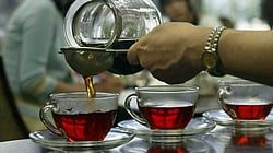 That cup of bliss
