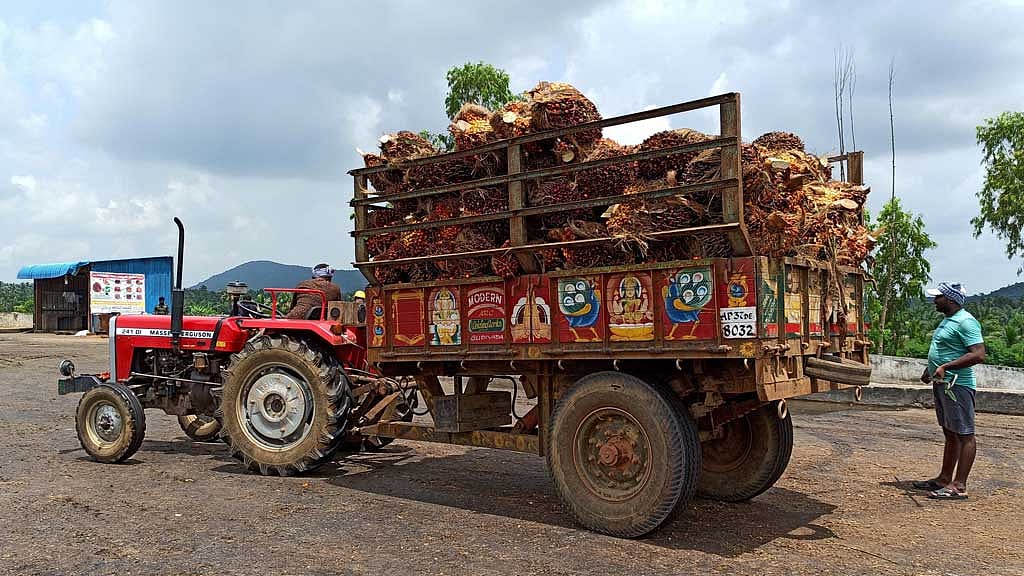 Top buyer India's Dec palm oil imports jump to 4-month high