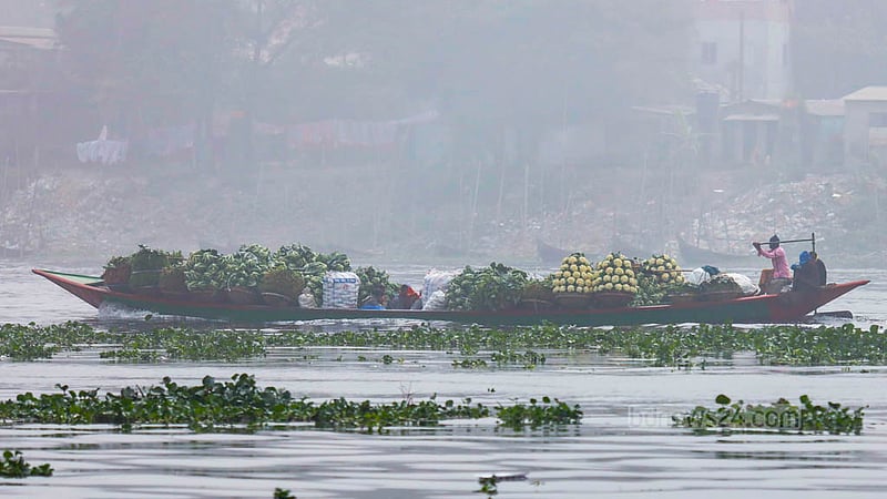 A trawler heads to Old Dhaka’s Shyambazar, carrying winter vegetables from Savar and neighbouring areas along the Buriganga River.