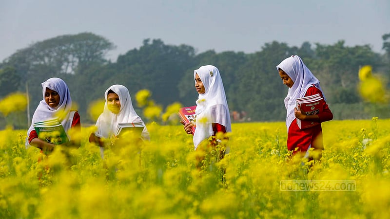 Students walk home from school through a mustard field on a winter morning after receiving their new textbooks.