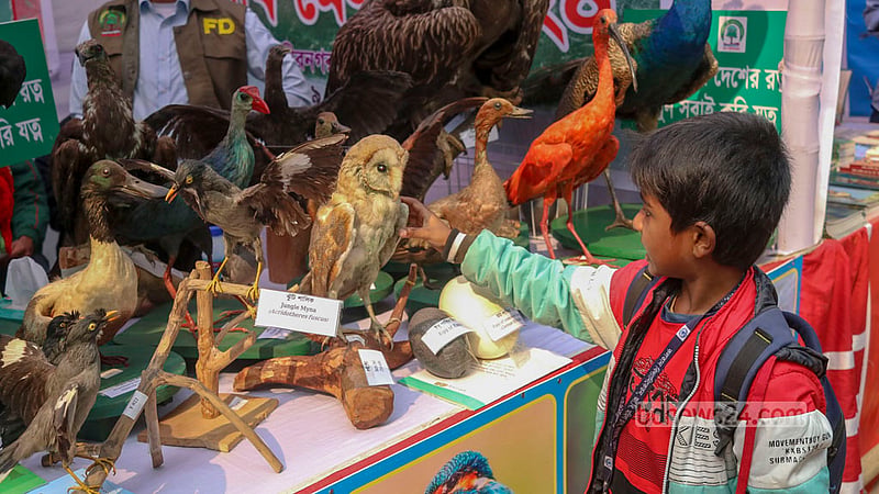 Stuffed birds representing different species are on display in a stall at the bird fair held at Jahangirnagar University, Jan 19, 2024.