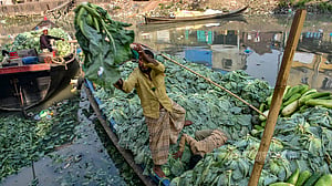 Winter vegetables