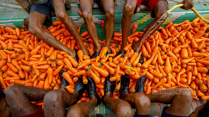 Farmers wearing rubber shoes rub harvested carrots with their feet to remove soil and dirt, while others spray water on the crops in keeping with an age-old cleaning method in Manikganj's Joymandap.
